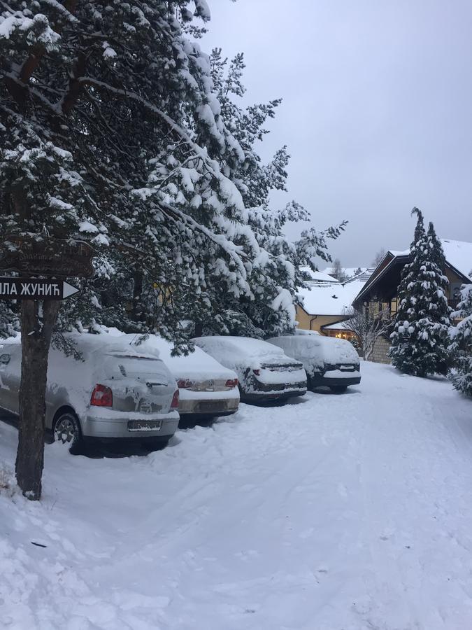 Guest House Vila Zunic ズラティボール エクステリア 写真